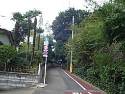 ハケの道3.JPG