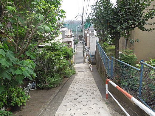 前谷戸丸太橋.JPG