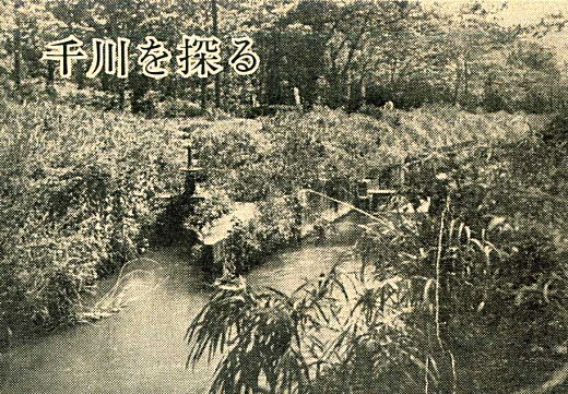 千川分水嶺1964.jpg
