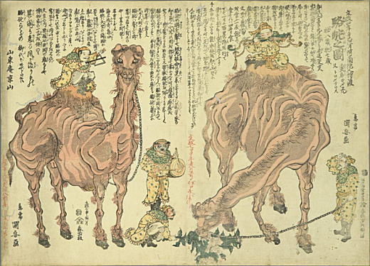 国安「駱駝之図」1824.jpg