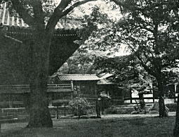 寛永寺1950.jpg