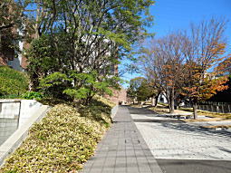 徳川慶喜邸跡4.JPG