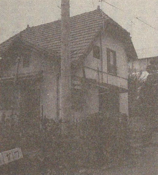 東村山経営地別荘1980.jpg