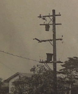 氷川線1941.jpg