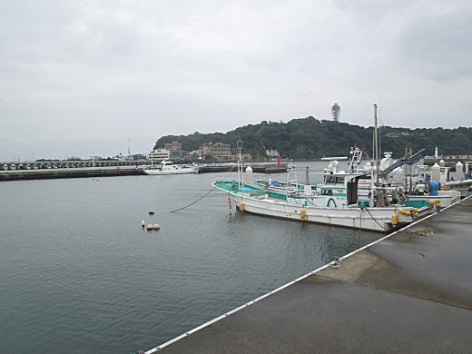 片瀬漁港.JPG