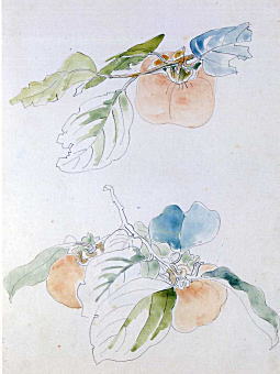 牧野虎雄「柿の実」1938-45.jpg