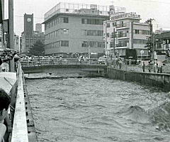 田島橋1981.jpg