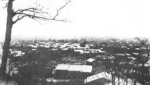 目白崖線眺望1923.jpg