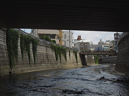 神高橋2.JPG