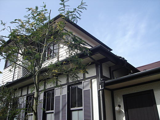 第一文化村渡辺邸.JPG