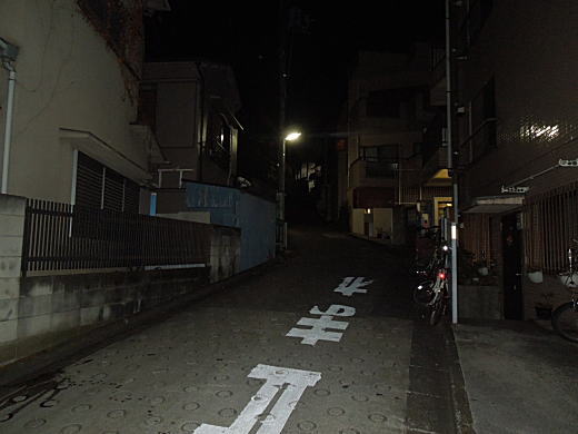 近衛町バッケ坂(夜).JPG