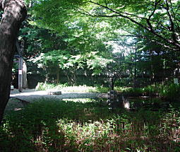 野鳥の森公園.JPG