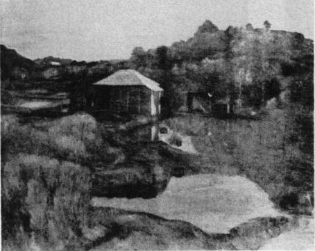 長野新一「養魚場」1924.jpg