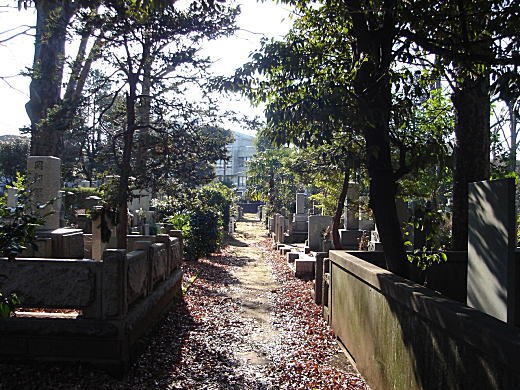 雑司ヶ谷墓地2.JPG